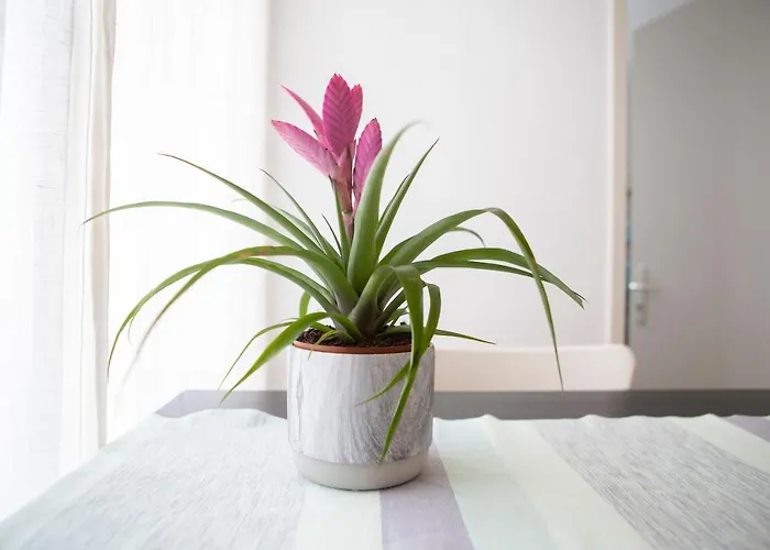 Casa Del Sole Apartament