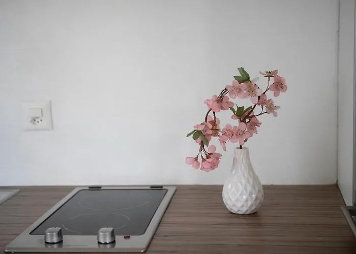 Casa Del Sole 아파트 로카르노