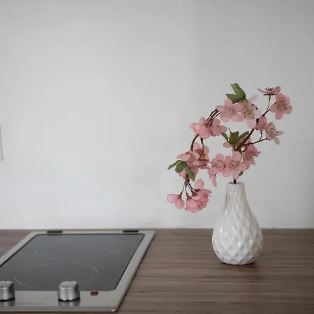 Casa Del Sole 아파트 로카르노